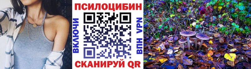 Псилоцибиновые грибы мухоморы закладки Жиздра