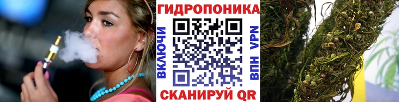 Конопля Amnesia  Жиздра 